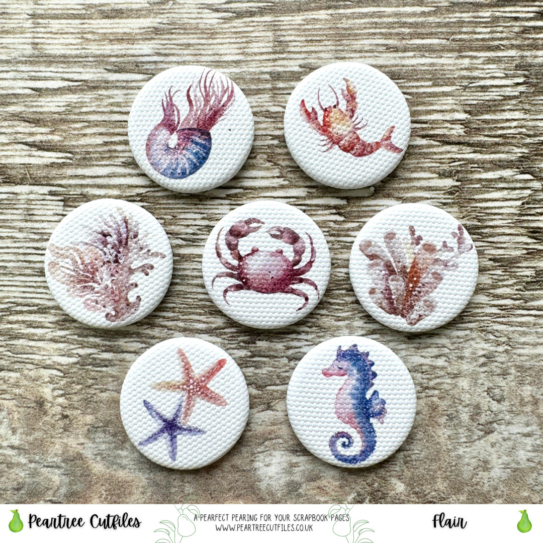 Rockpool Creatures Flair