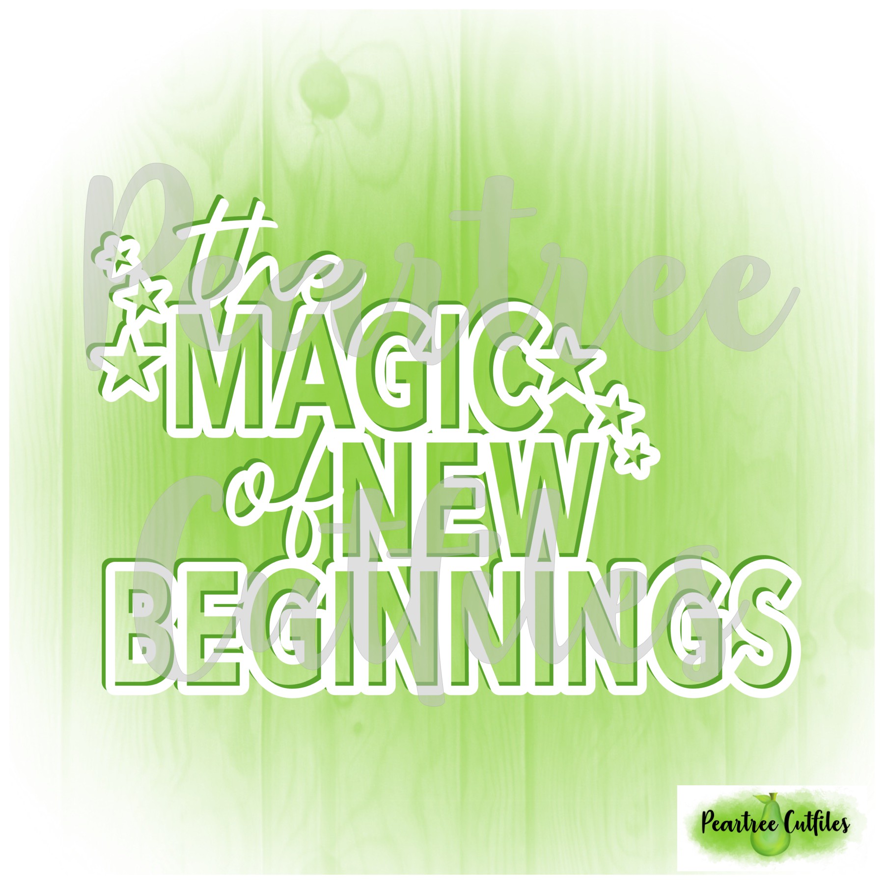 The Magic of New Beginnings