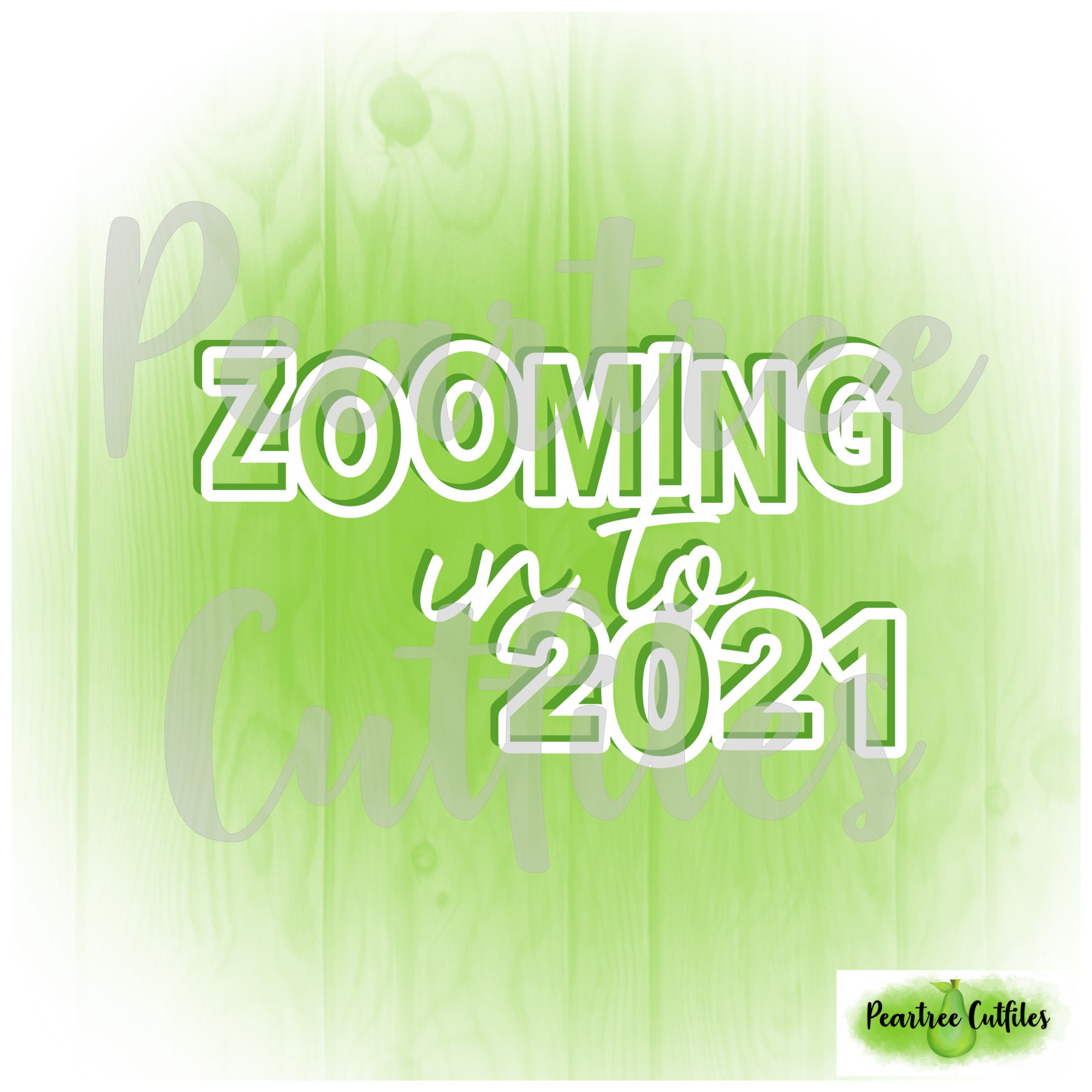 Zooming in to 2021
