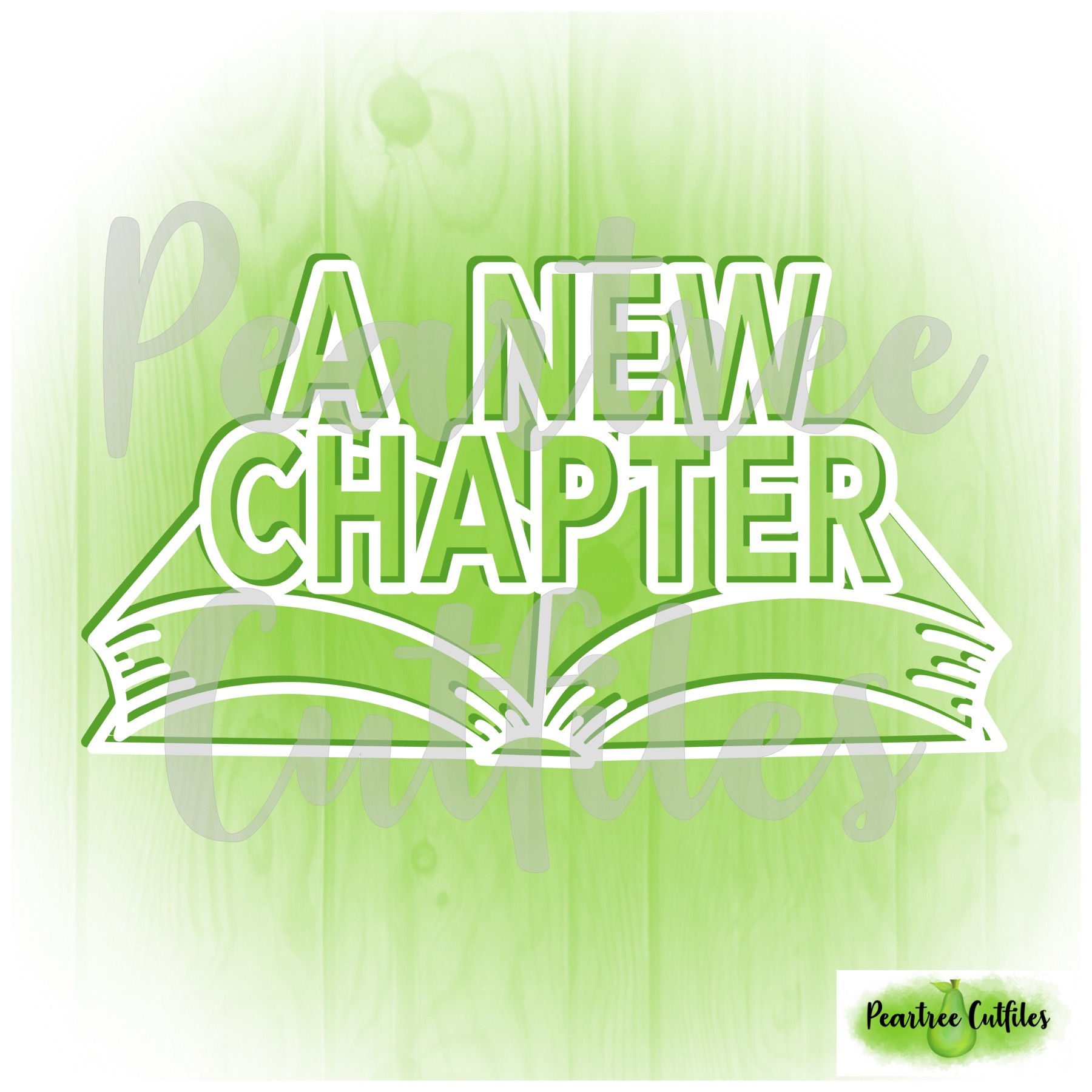 Sima Sistani'S Indian Predicament:  A New Chapter? - 3658ga3