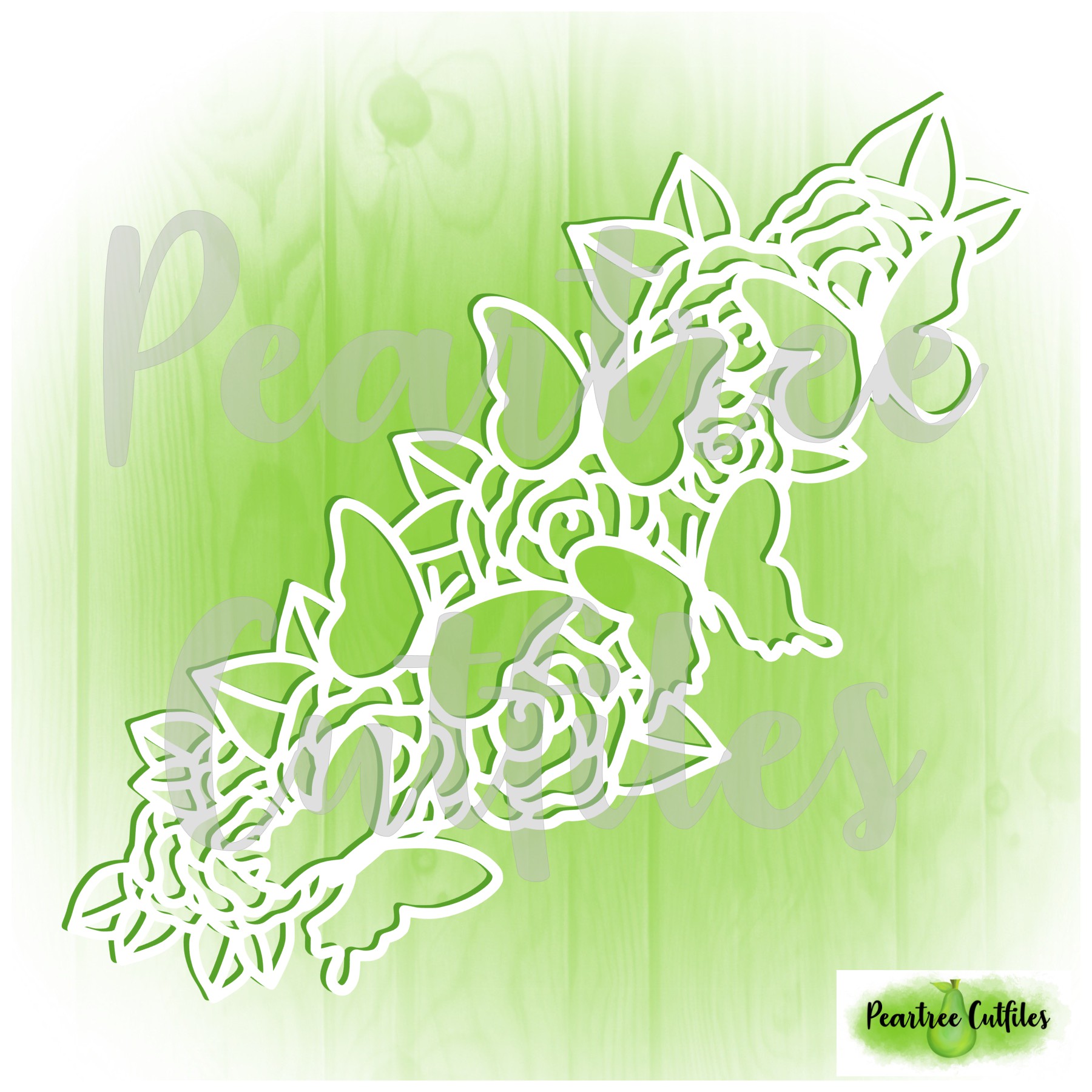 Butterflies and Blooms