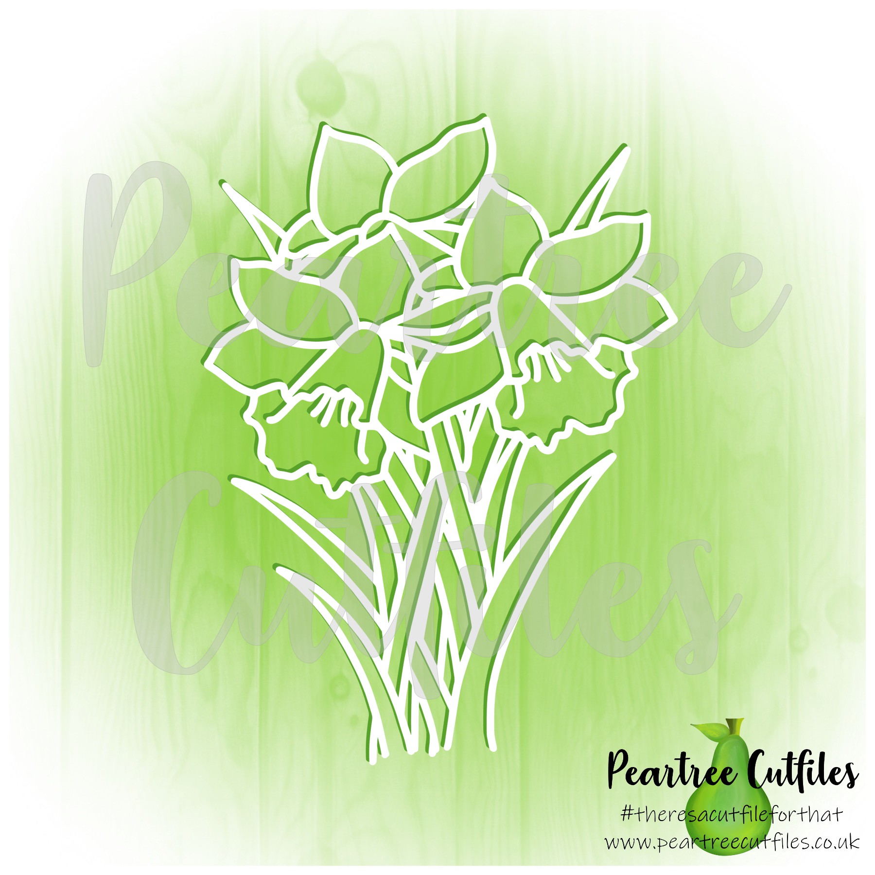 Daffodils