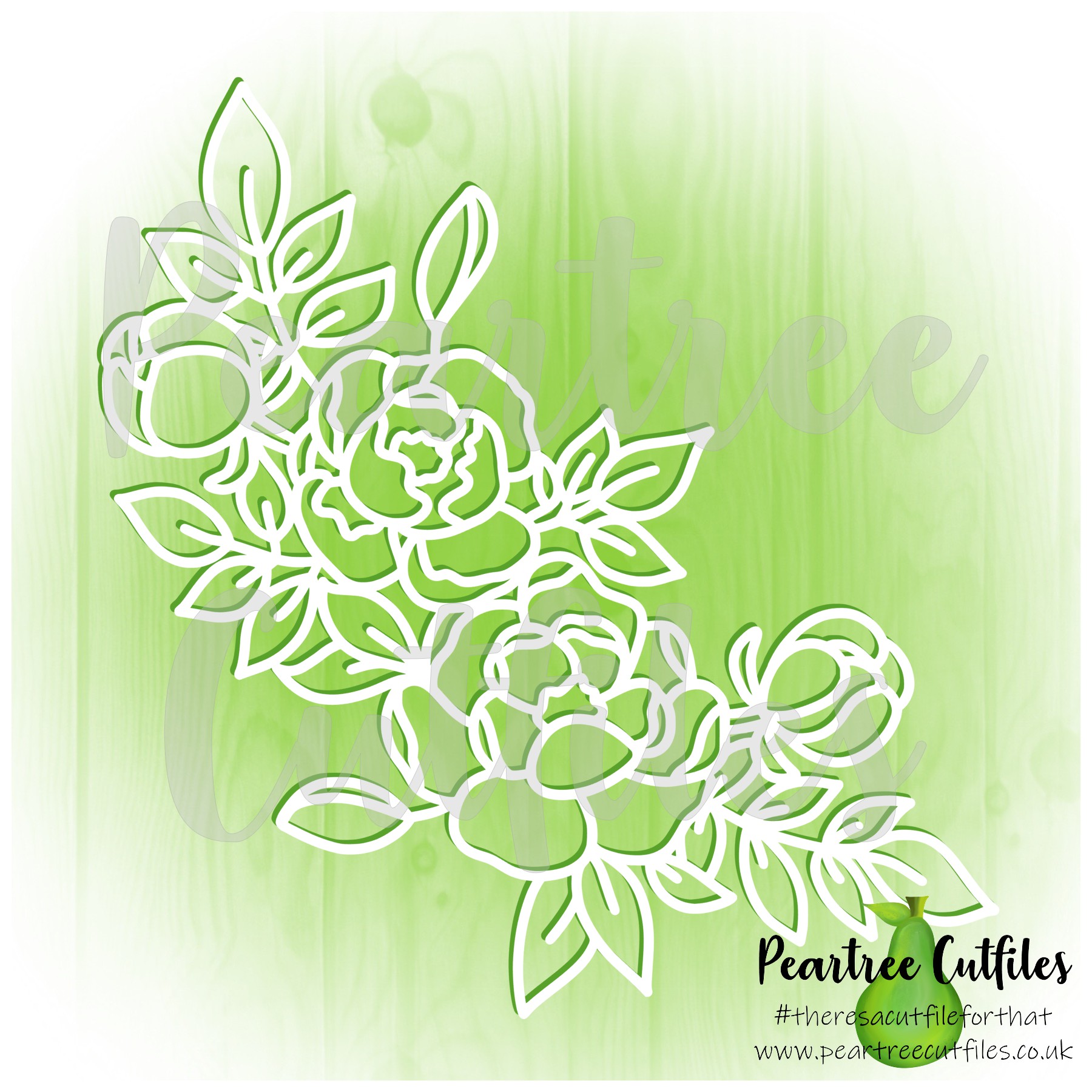 Peonies