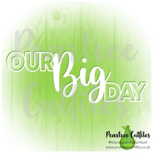 Our Big Day