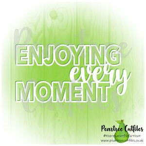 Enjoying Every Moment