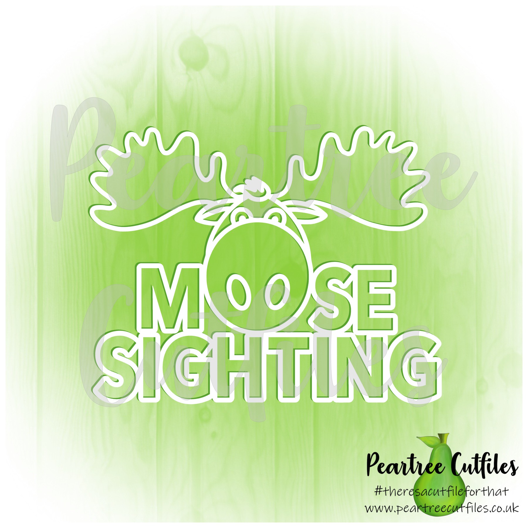 Jessicas Moose Sighting