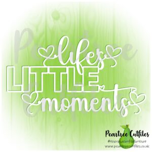 Lifes Little Moments