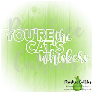 Youre the Cats Whiskers