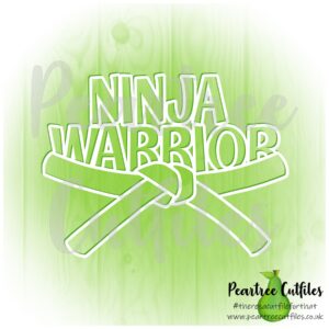 Ninja Warrior Belt