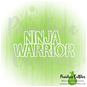 Ninja Warrior