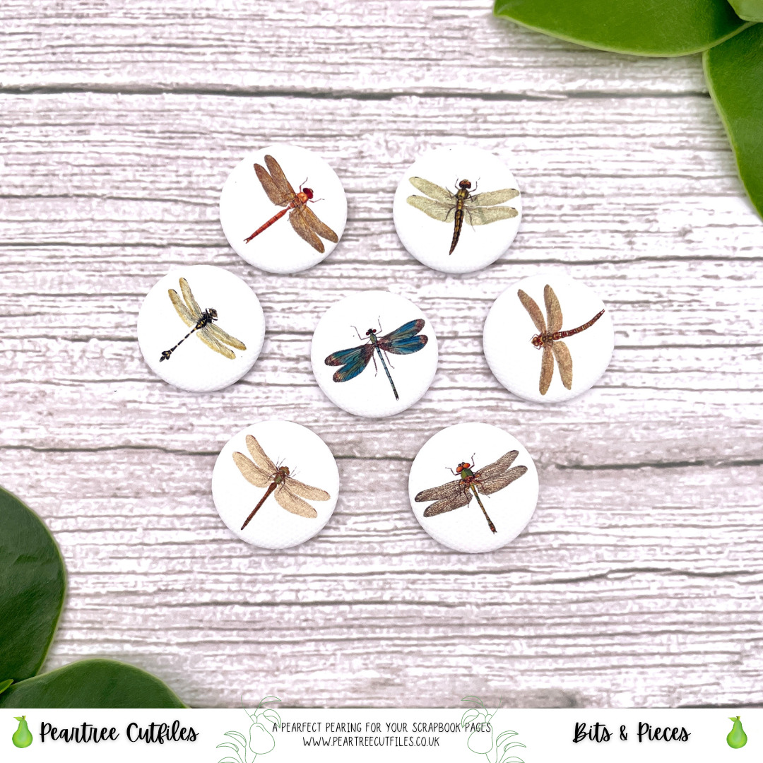 Woodland Dragonflies Flair