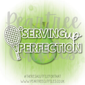 Serving Up Perfection