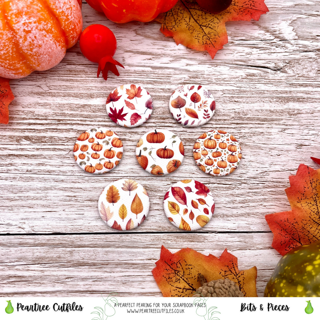 Pumpkin Patterns Flair