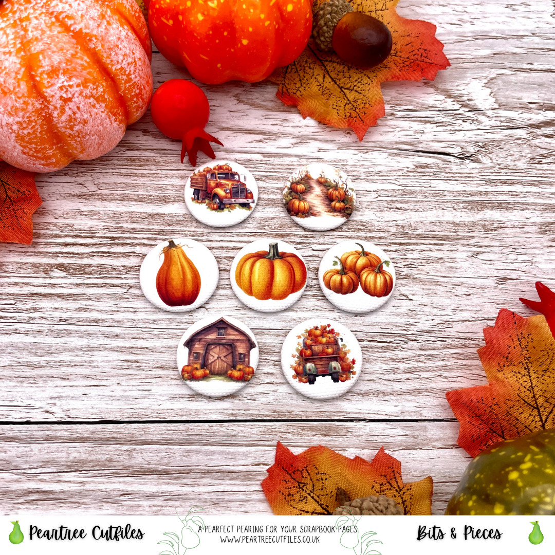 Pumpkin Patch Flair