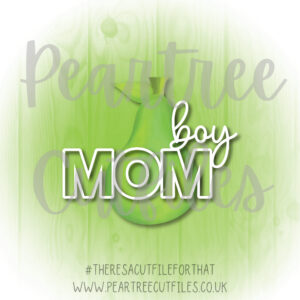 Boy Mom