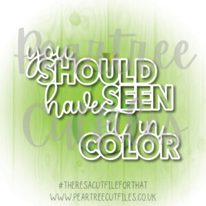 You Should Have Seen it in Color