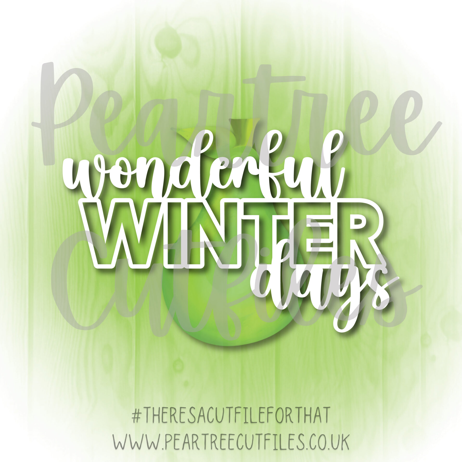 Wonderful Winter Days