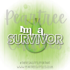 Im a Survivor