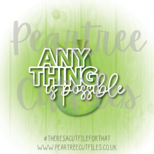 Anything is Possible