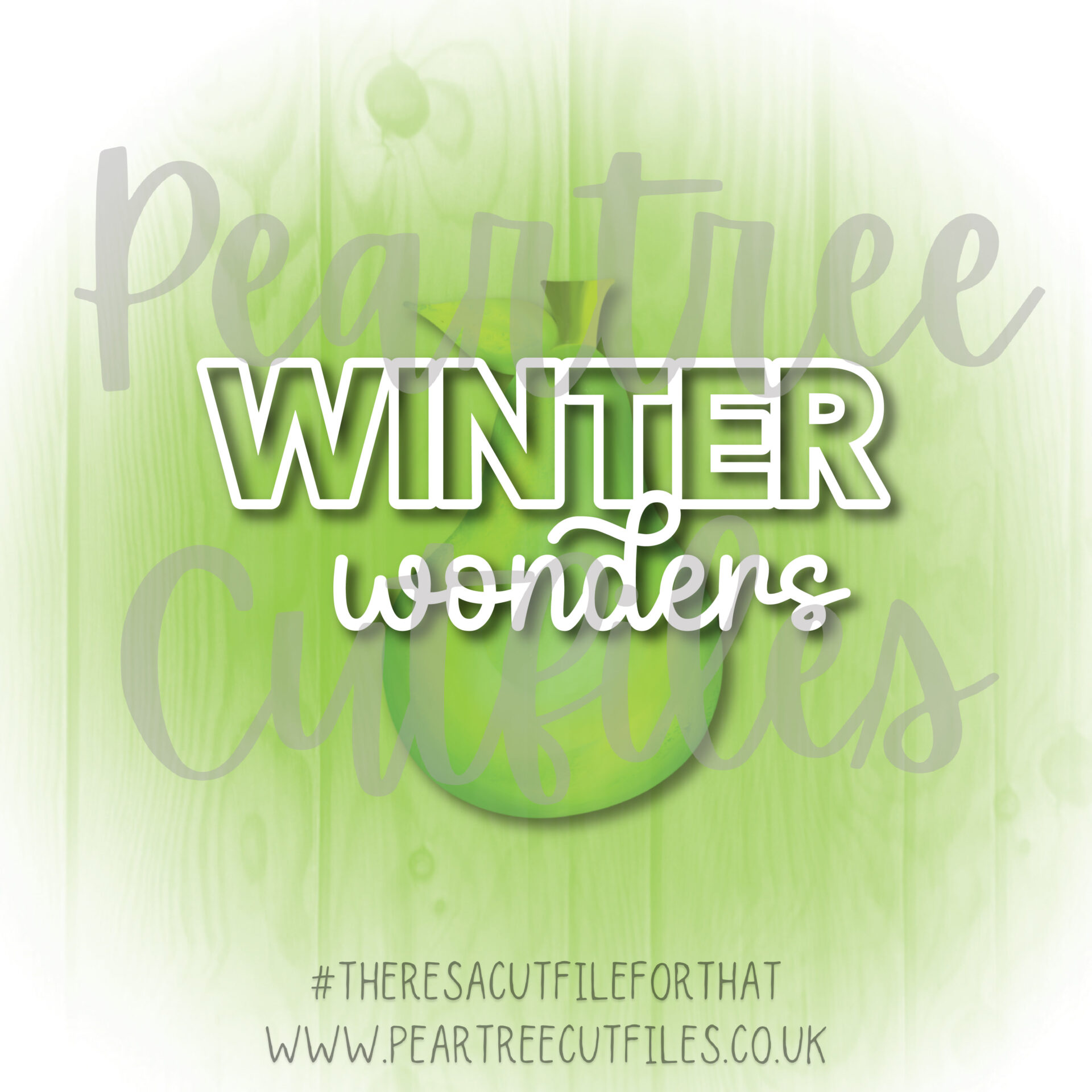 Winter Wonders