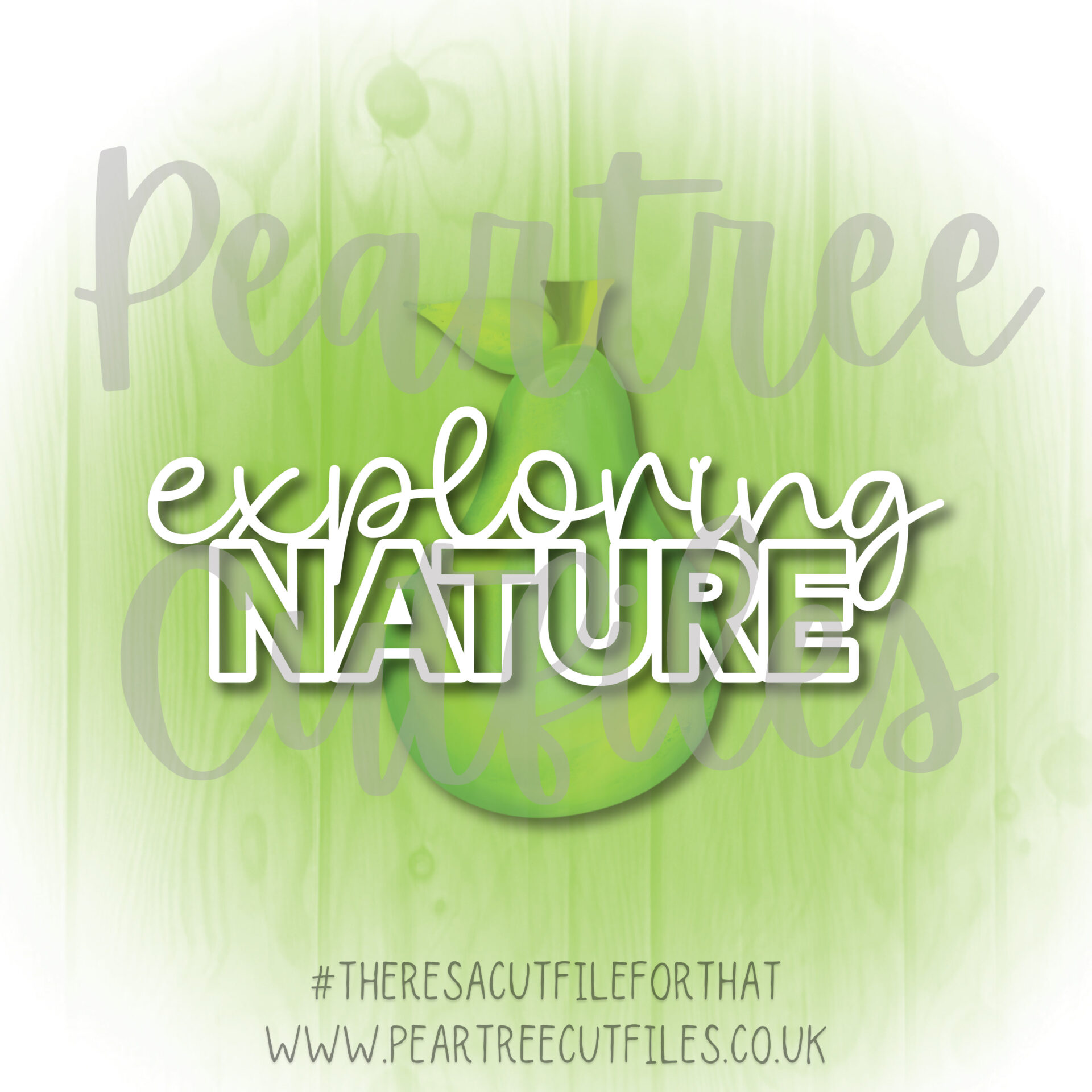 Exploring Nature