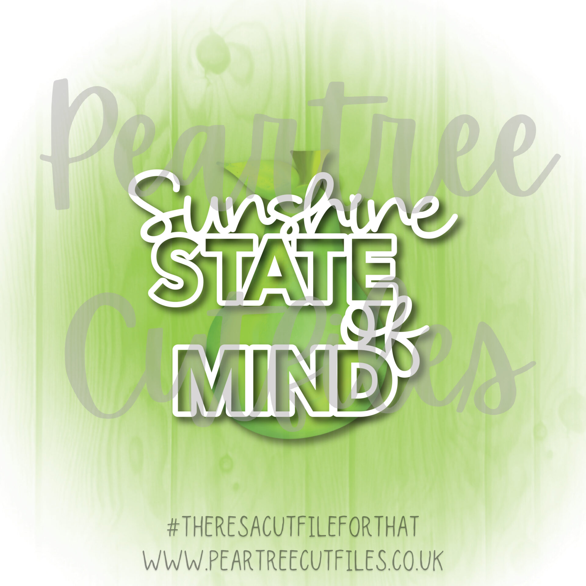 Sunshine State of Mind