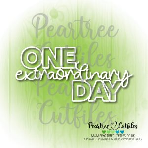 One Extraordinary Day