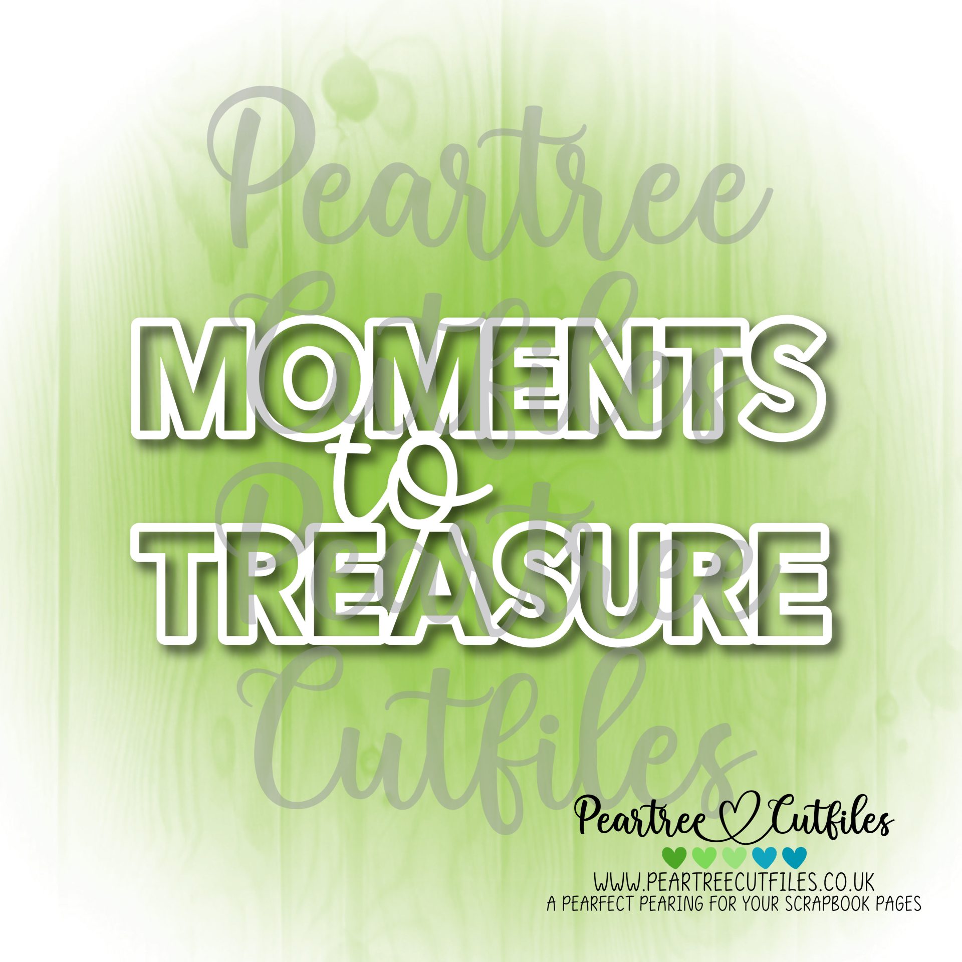 Moments to Treasure