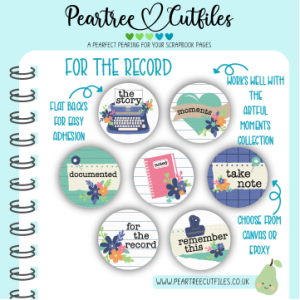 For the Record Flair