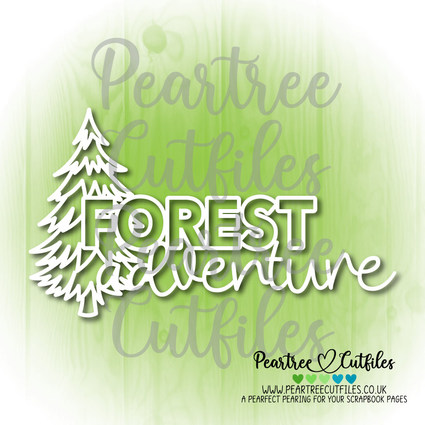 Forest Adventure