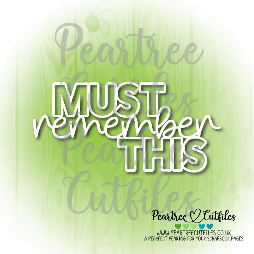 Must Remember This