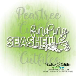 Finding Seashells