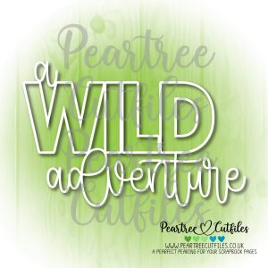 A Wild Adventure