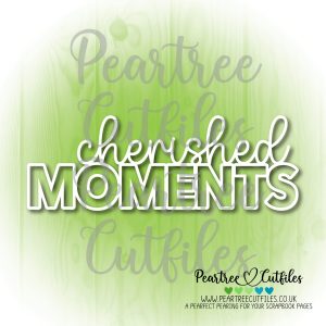 Cherished Moments