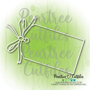 Giant Birthday Tag