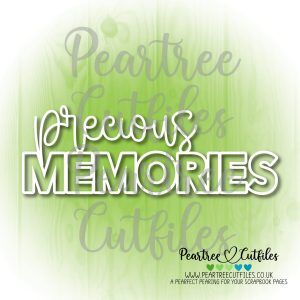 Precious Memories